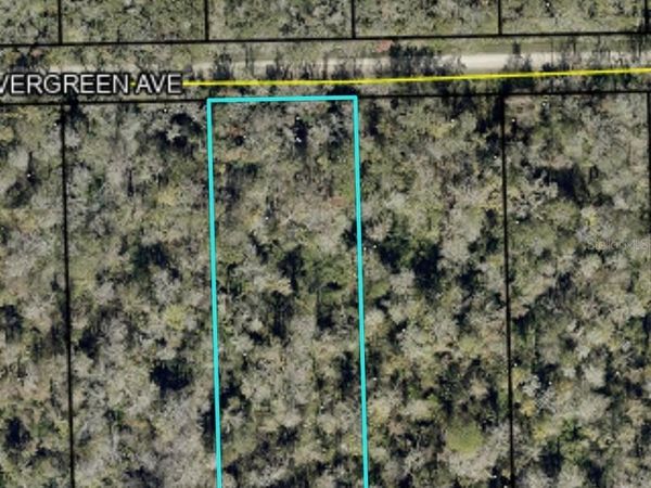3655 EVERGREEN AVENUE, BUNNELL, FL 32110