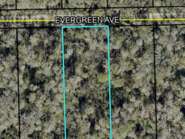 3741 EVERGREEN AVENUE , BUNNELL, FL 32110