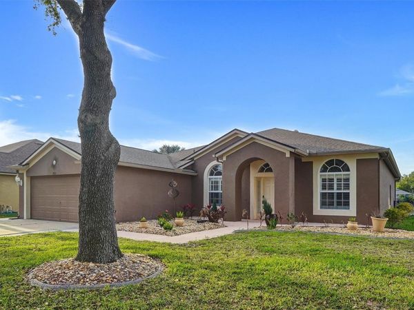 19111 FERN MEADOW LOOP , LUTZ, FL 33558