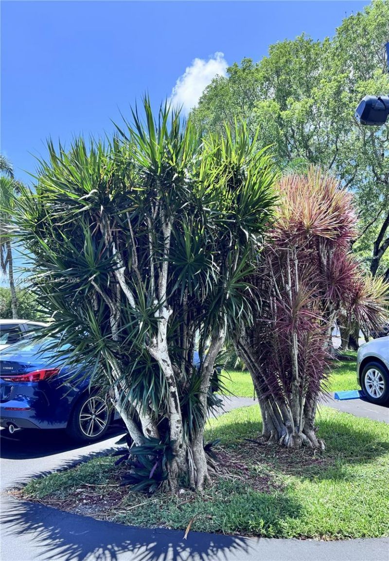 1800 N Andrews Ave, Unit 2E, Fort Lauderdale, FL 33311 Photo