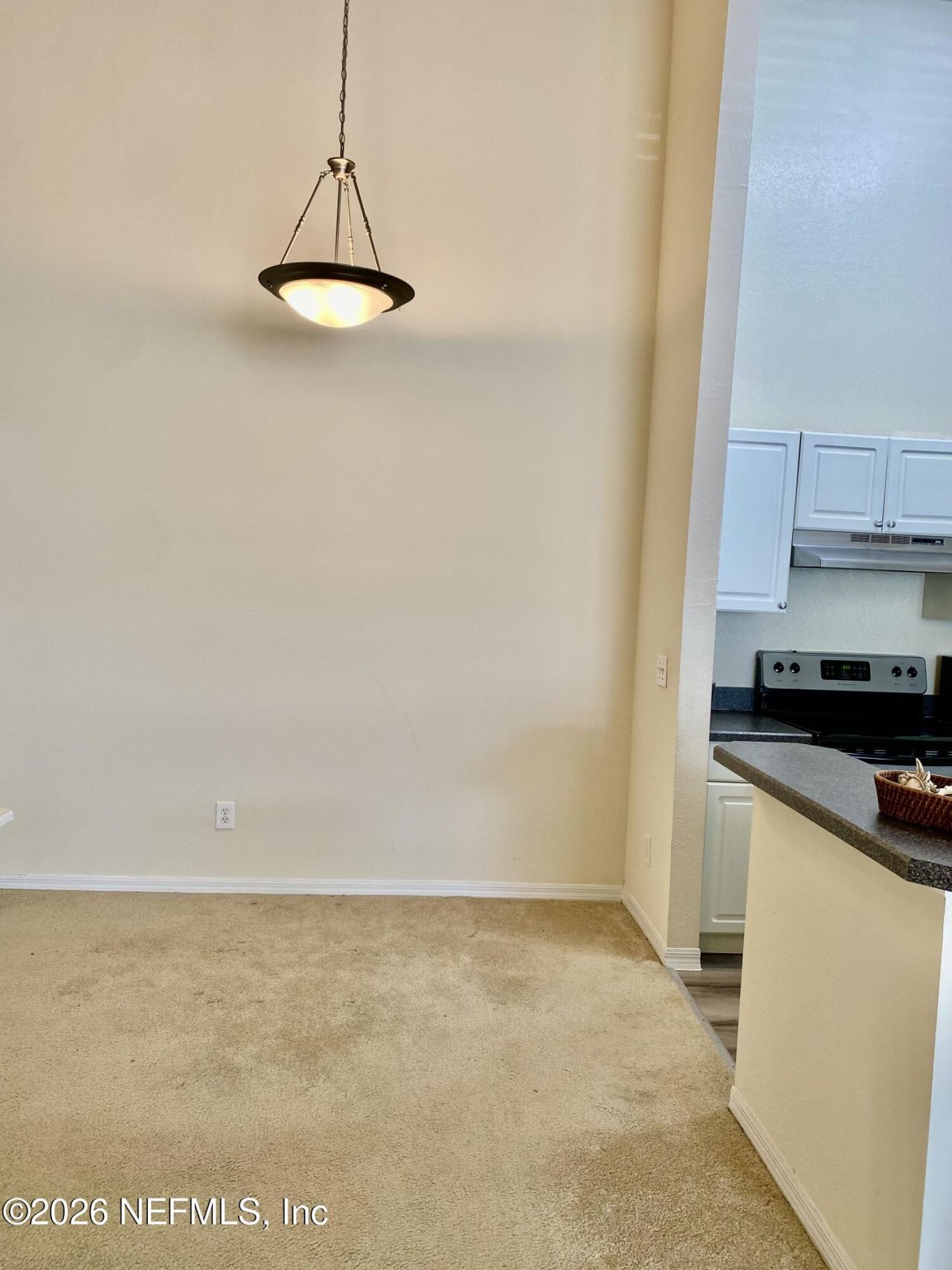 1717 County Road 220, Unit 1705, Fleming Island, FL 32003 Photo
