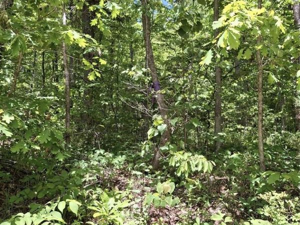 0 County Road 924, Bunker, MO 63629