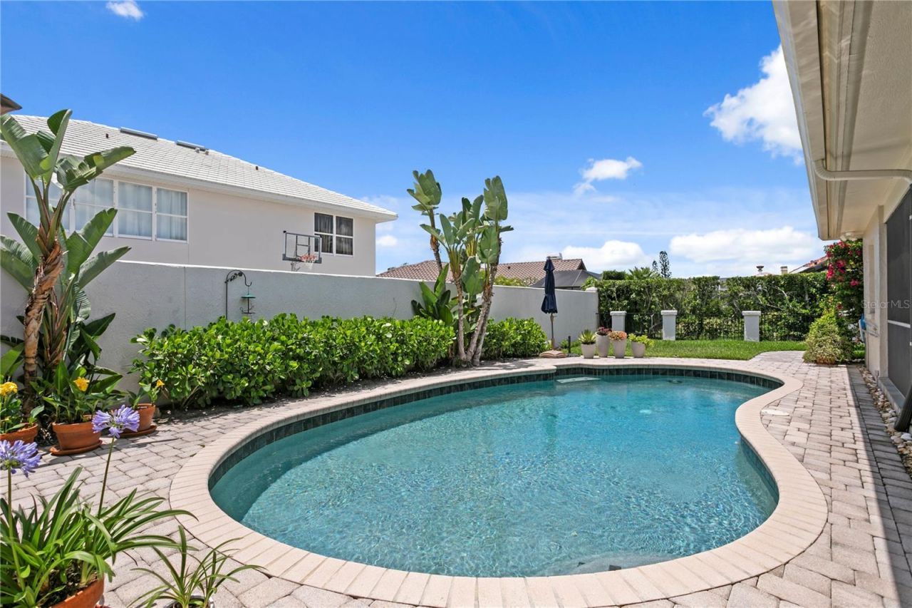 7016 Pelican Island Drive, Tampa, FL 33634 Photo