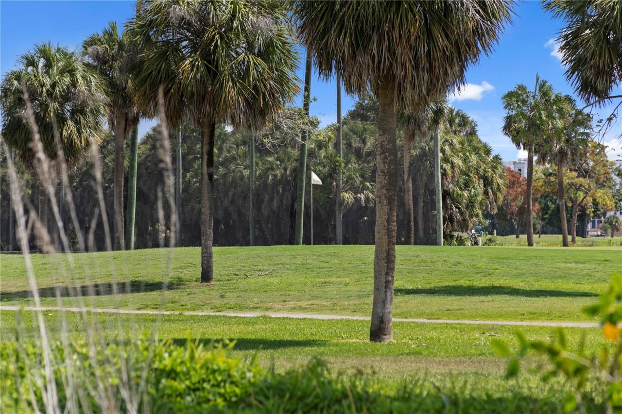 7016 Pelican Island Drive, Tampa, FL 33634 Photo