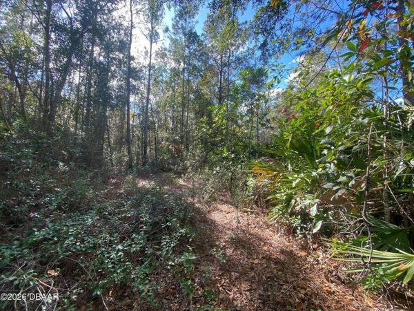 820 OLD BUBBLY ROAD , PIERSON, FL 32180