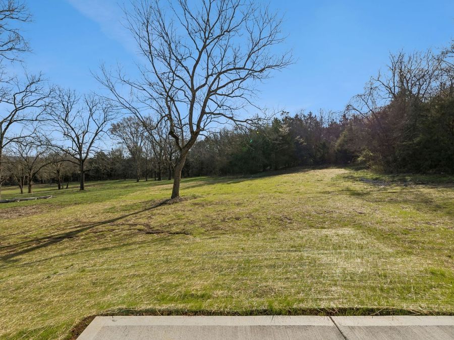 Property Image 81
