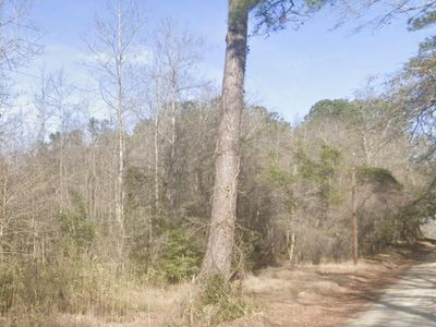 0 Snake Branch Road, Round O, SC 29474