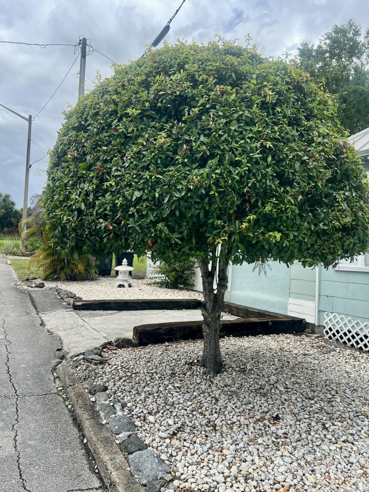 208 Avenue E, Fort Pierce, FL 34950 Photo