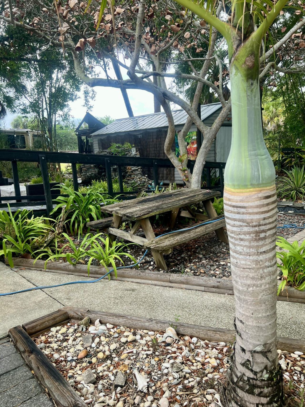 208 Avenue E, Fort Pierce, FL 34950 Photo