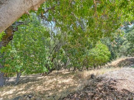 Guadalupe Dr, El Dorado Hills, CA 95762 Photo