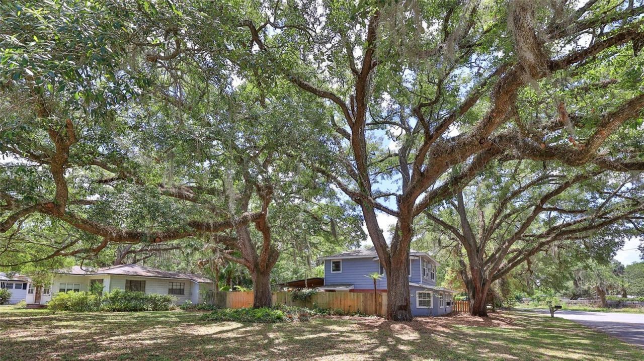 801 E 20th Street, Sanford, FL 32771 Photo