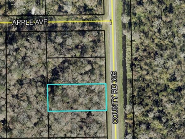 2166 CR-305 , BUNNELL, FL 32110