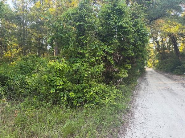 00 SW 82nd Ct, Fanning Springs, FL 32693