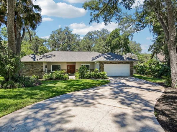 2754 BUCKHORN OAKS DRIVE , VALRICO, FL 33594