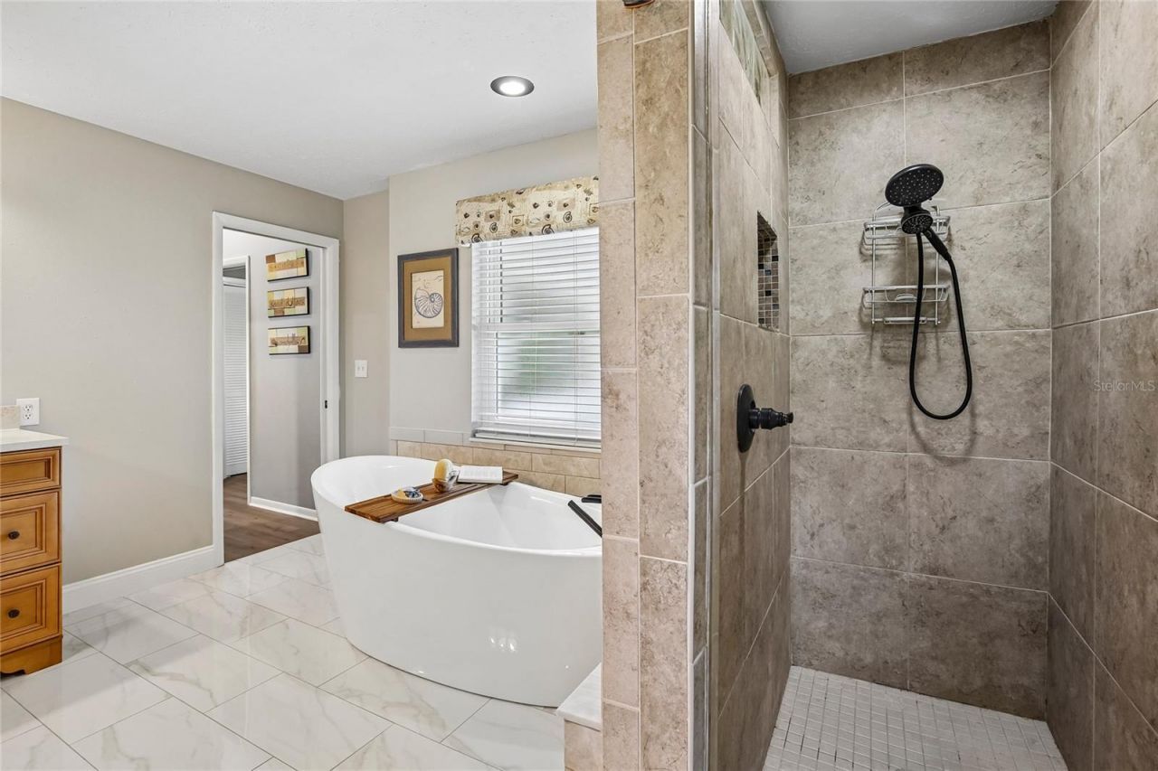 2754 Buckhorn Oaks Drive , Valrico, FL 33594 Photo