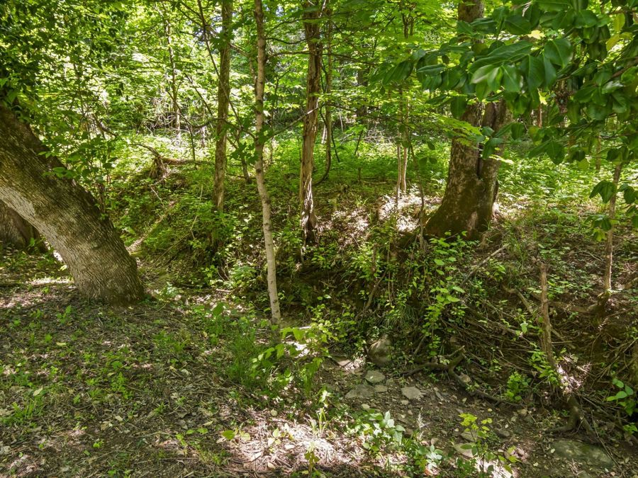 Property Image 51