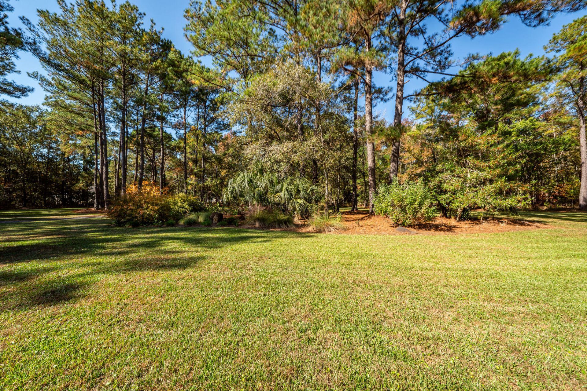 5950 Lowell Reed Road Photo 102