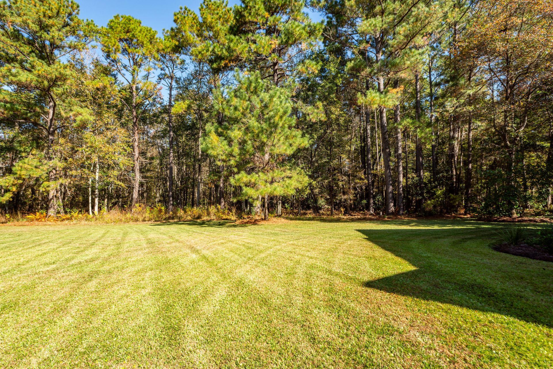 5950 Lowell Reed Road Photo 103