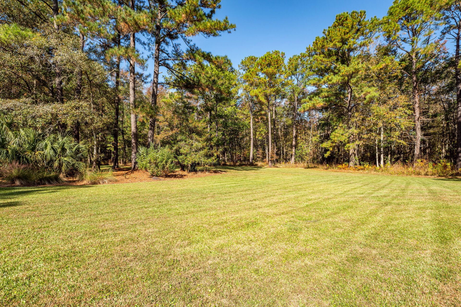5950 Lowell Reed Road Photo 104