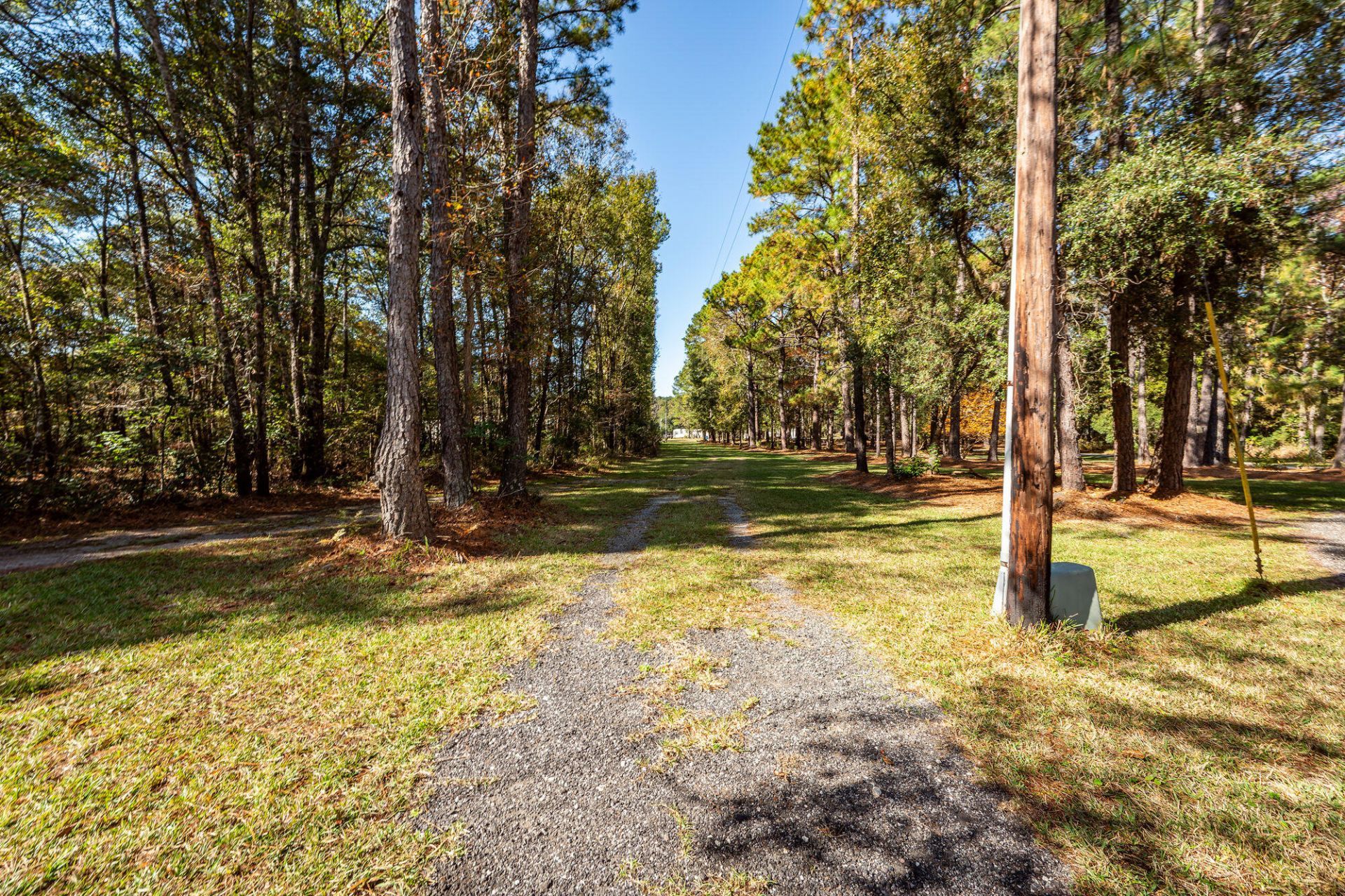 5950 Lowell Reed Road Photo 105