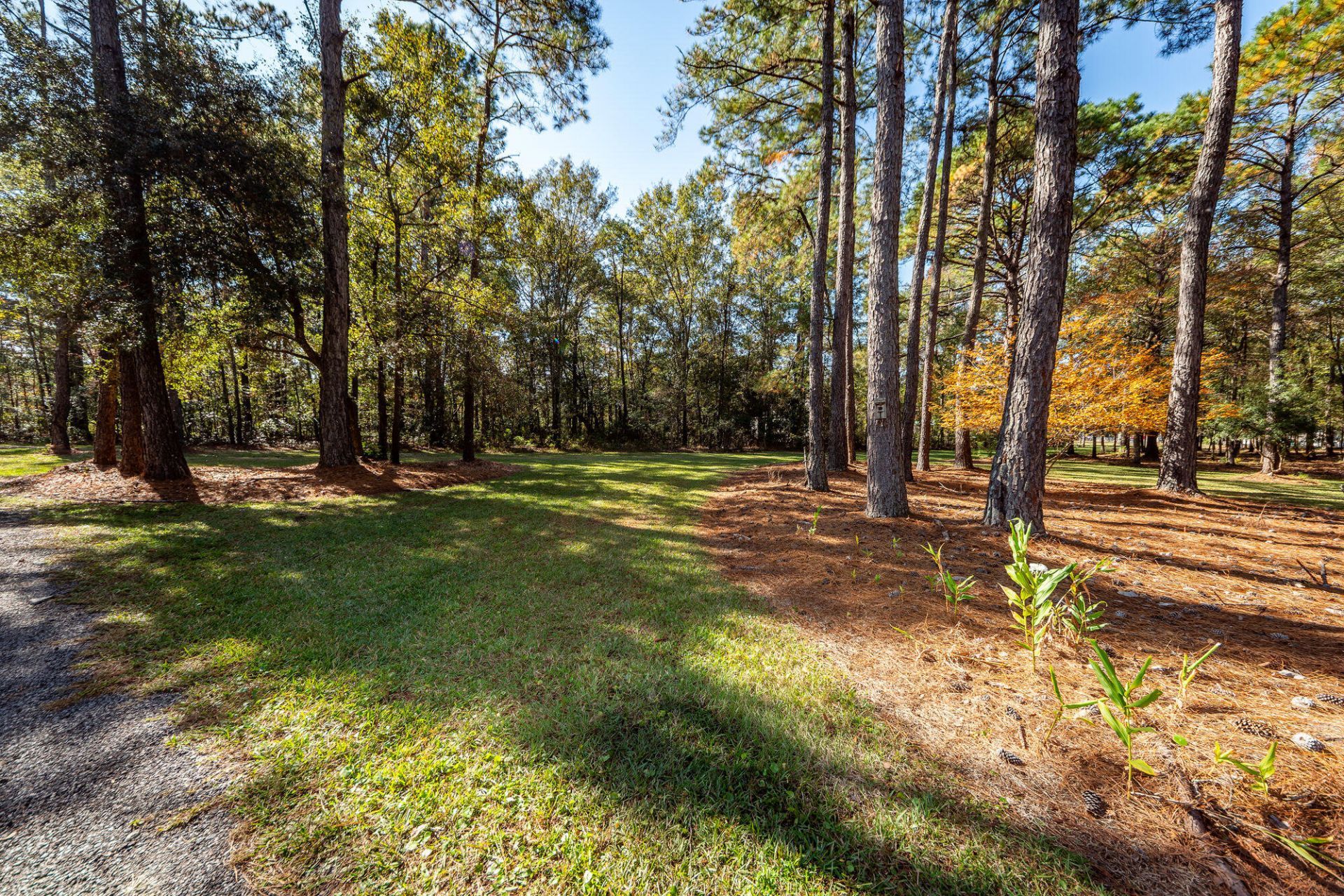 5950 Lowell Reed Road Photo 106