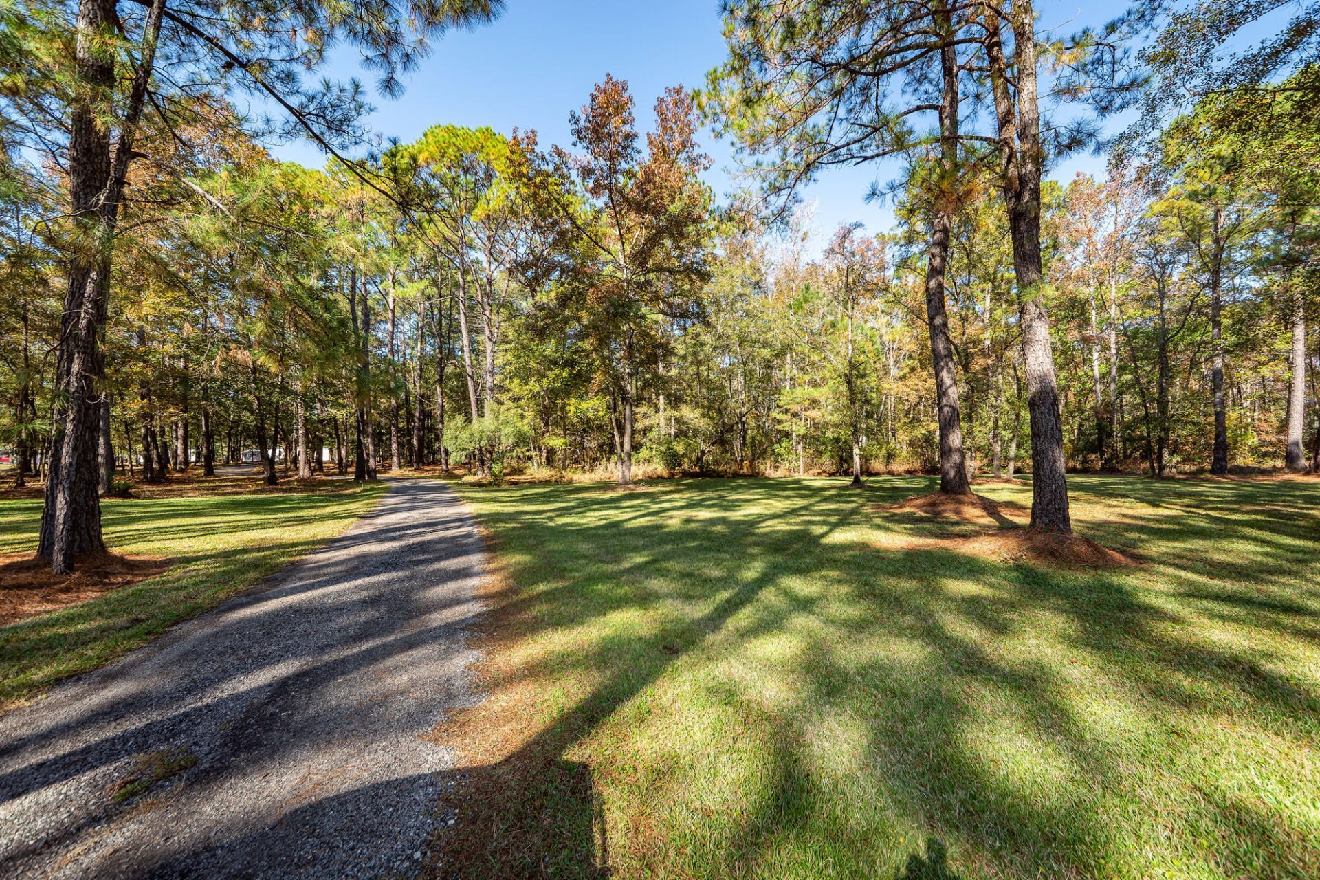 5950 Lowell Reed Road Photo 107