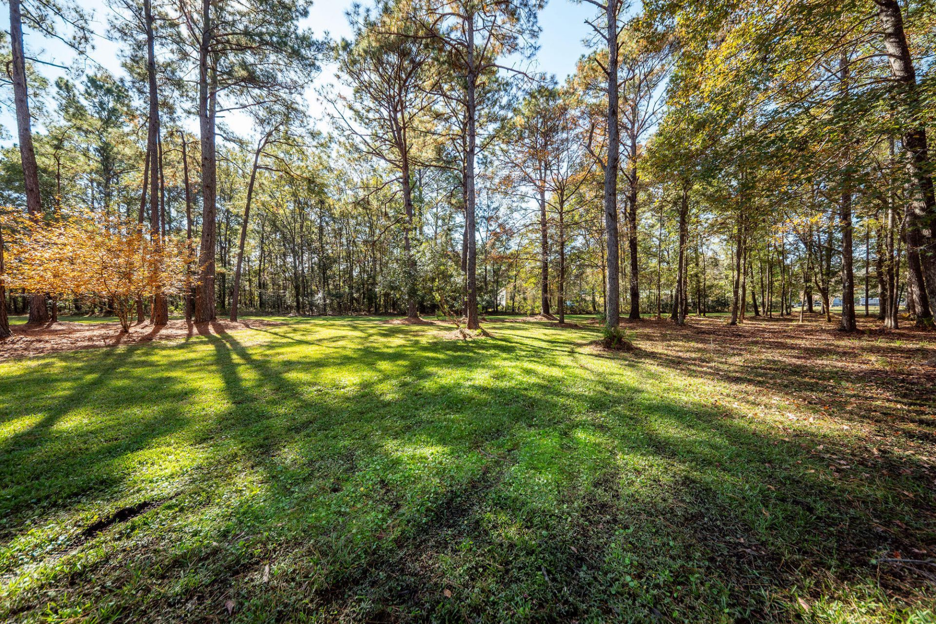 5950 Lowell Reed Road Photo 109