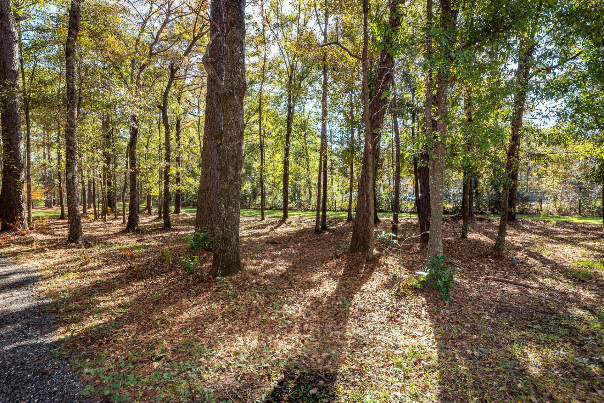5950 Lowell Reed Road Photo 111