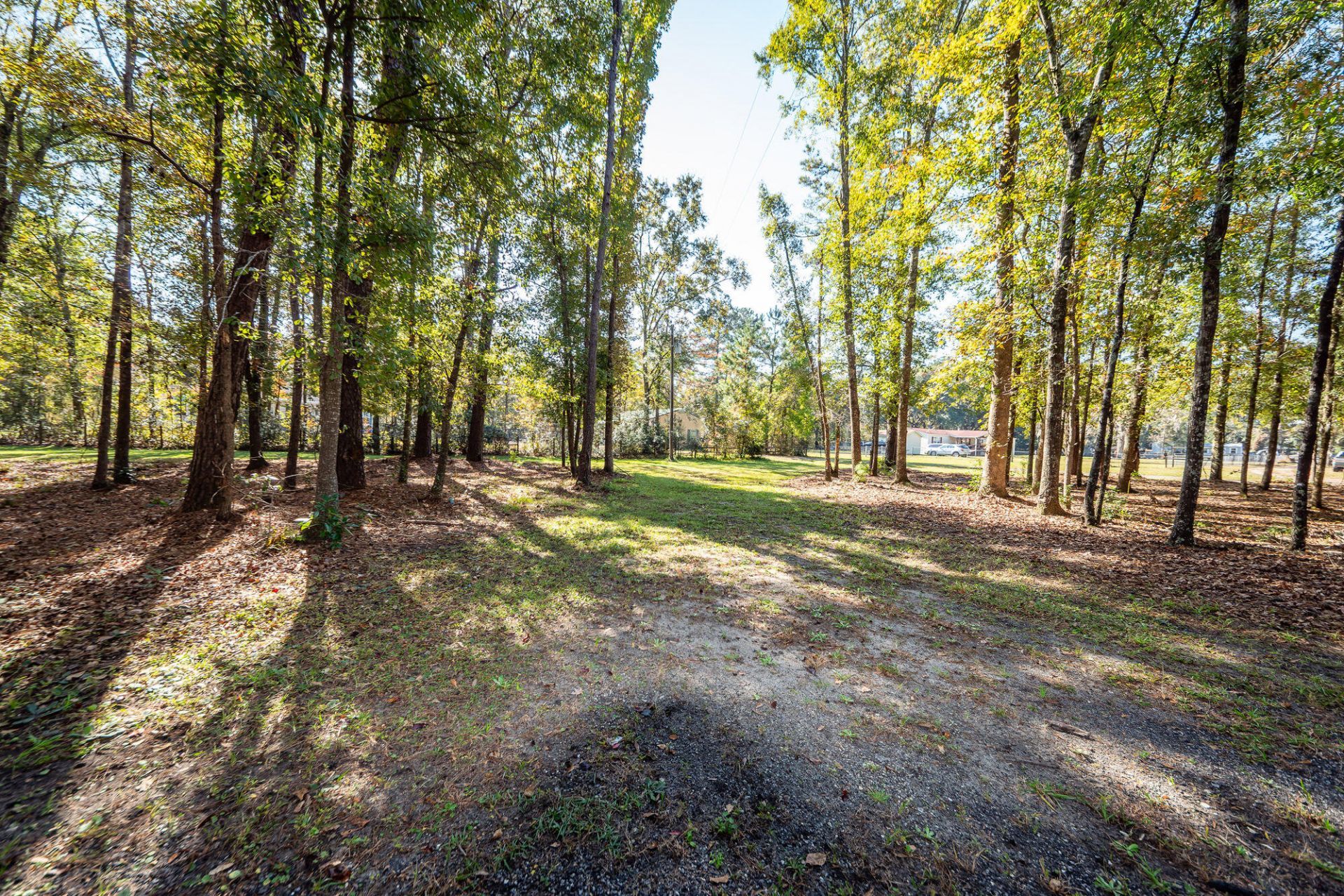5950 Lowell Reed Road Photo 112