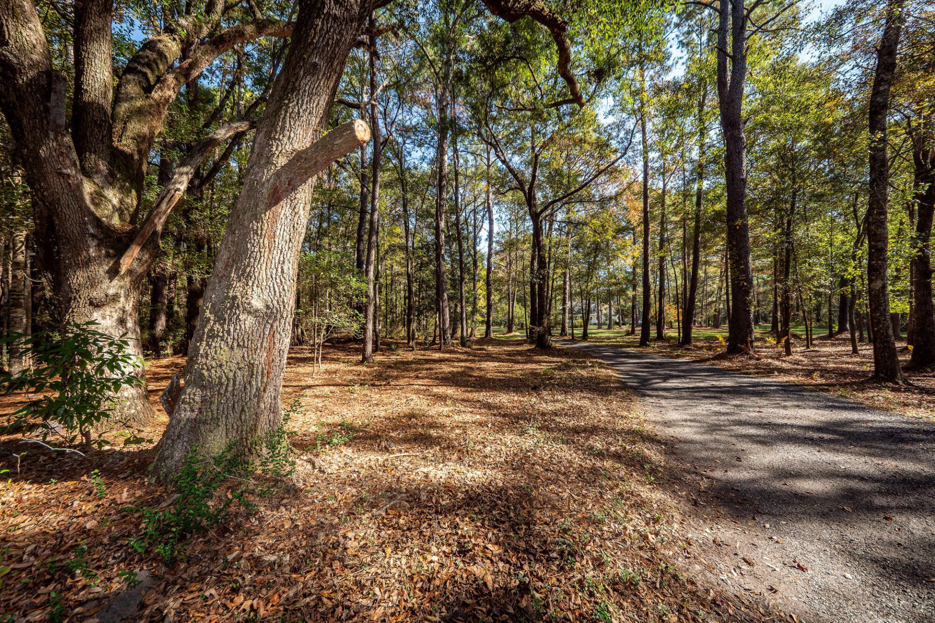 5950 Lowell Reed Road Photo 113