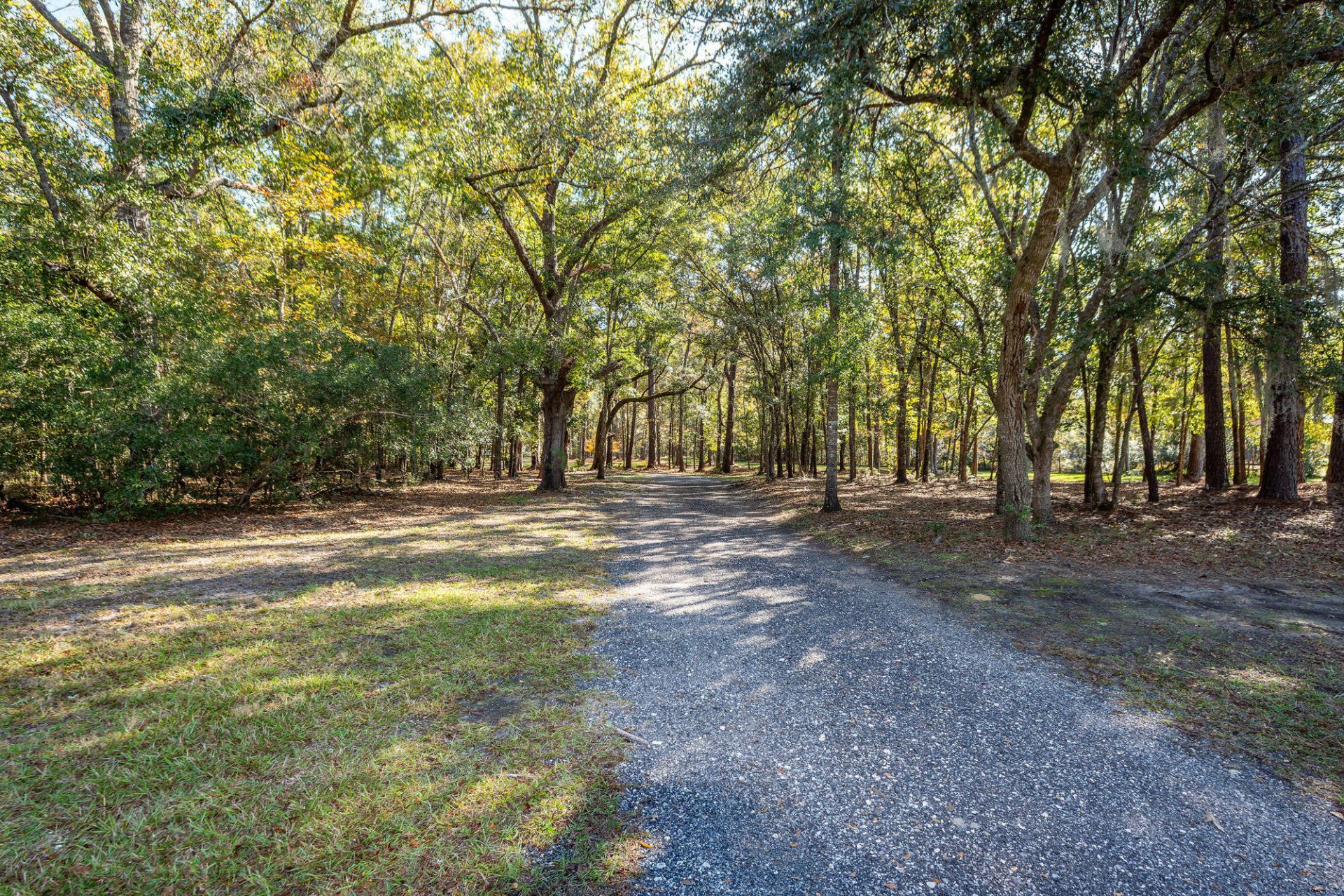 5950 Lowell Reed Road Photo 115