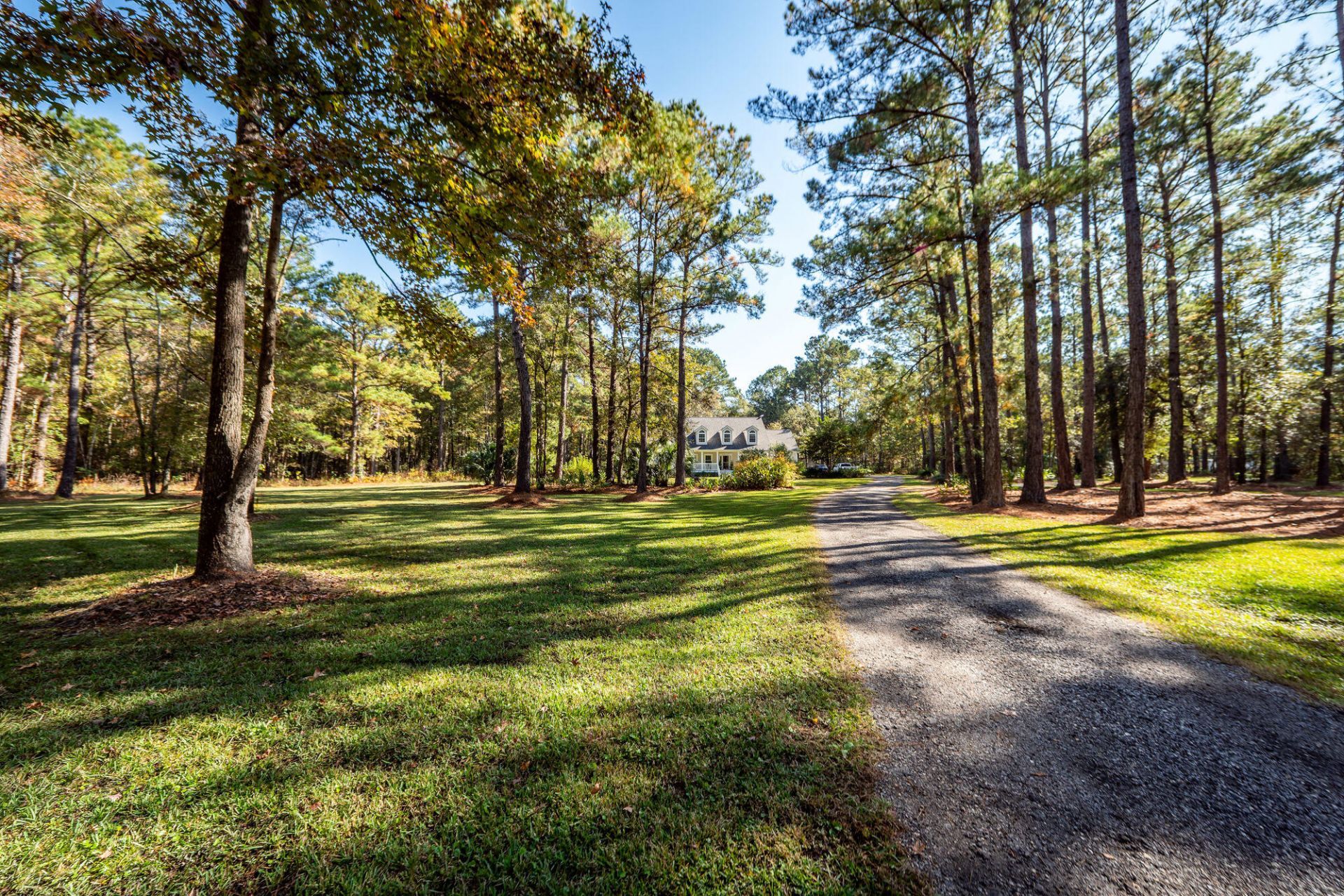 5950 Lowell Reed Road Photo 14