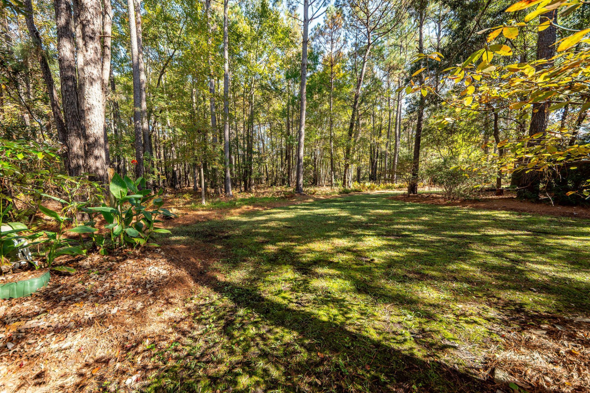 5950 Lowell Reed Road Photo 78