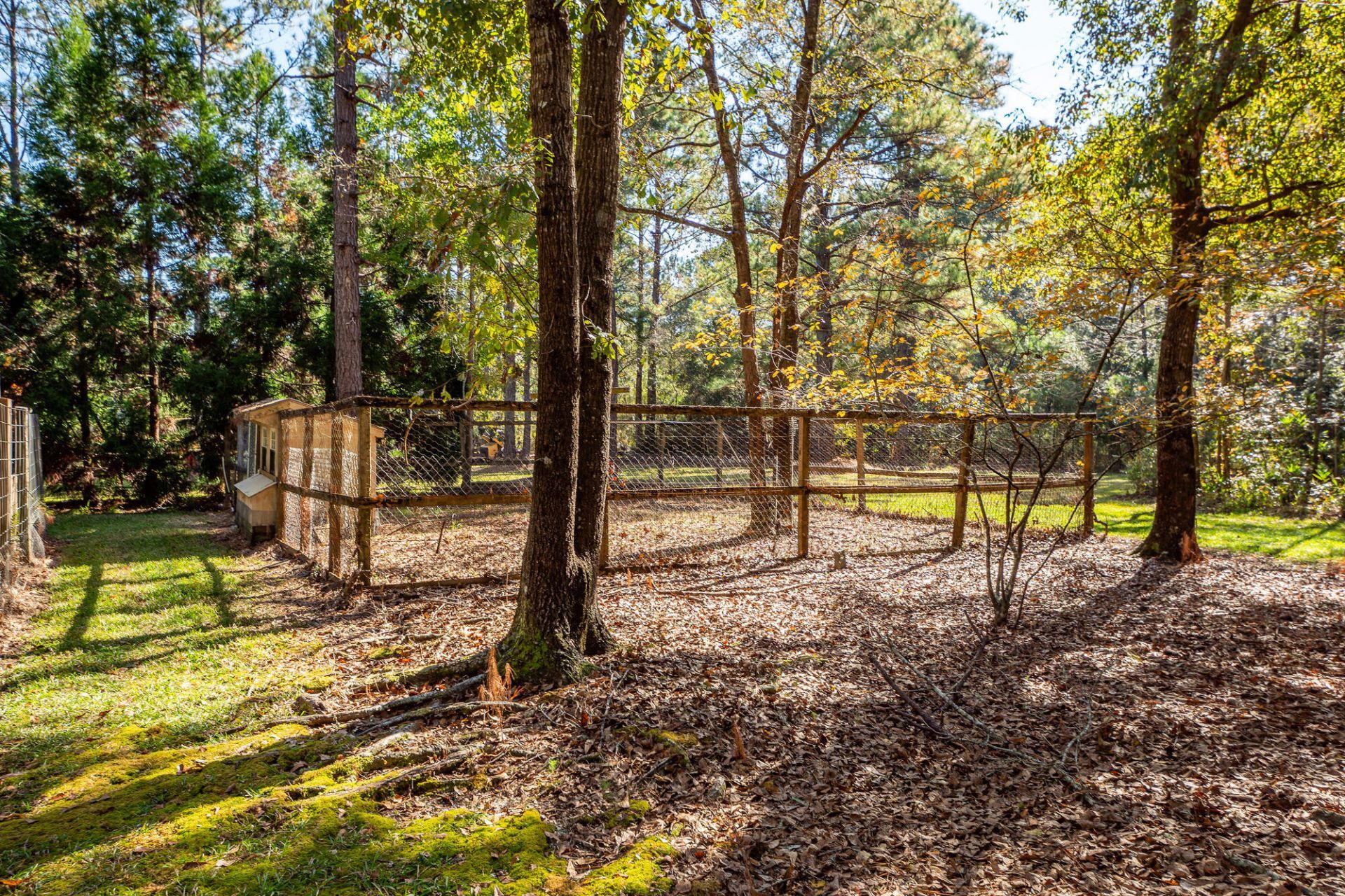 5950 Lowell Reed Road Photo 85