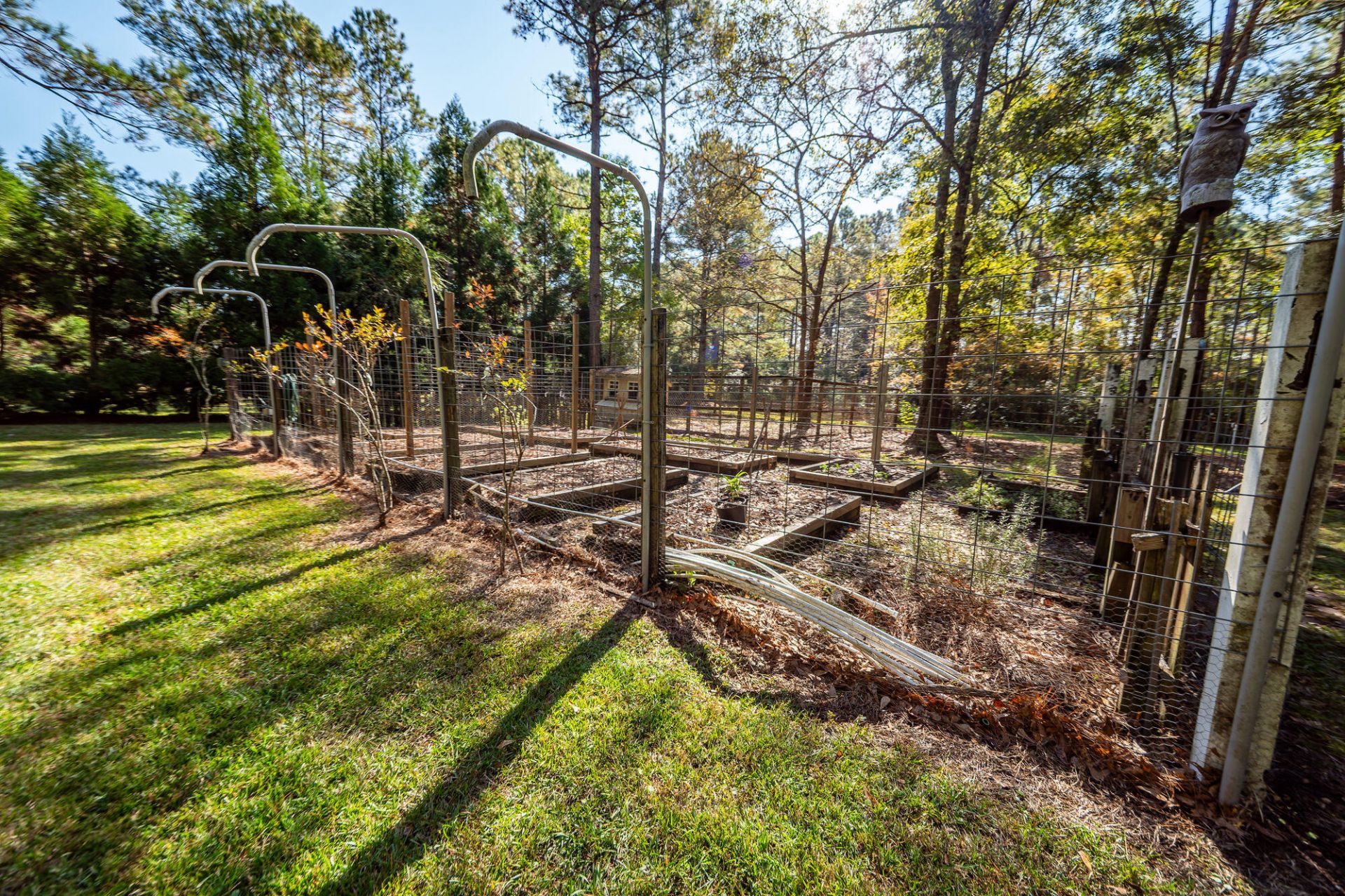 5950 Lowell Reed Road Photo 86