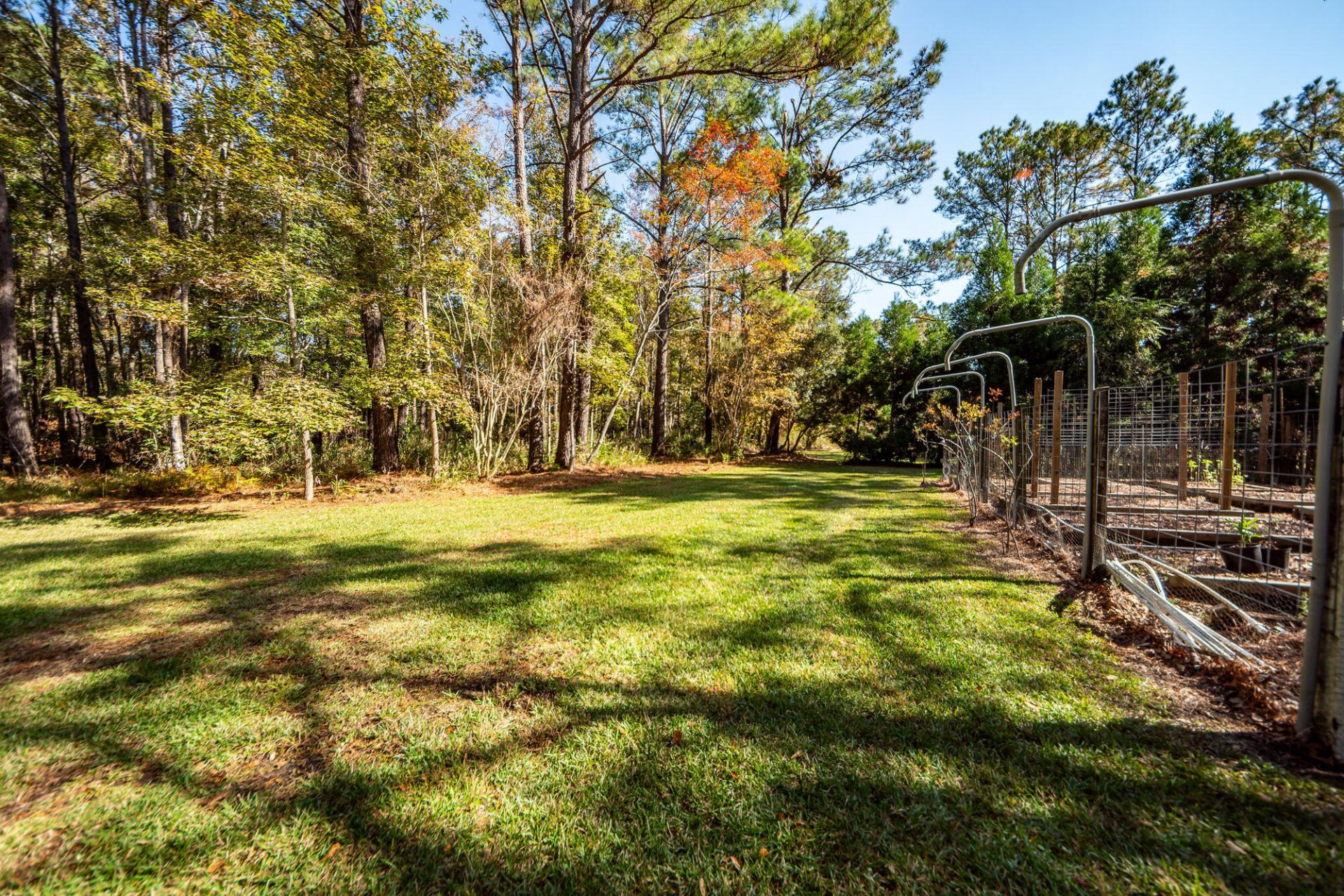 5950 Lowell Reed Road Photo 87