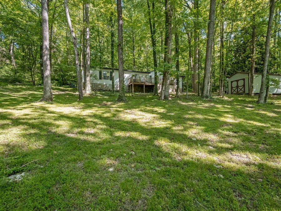 Property Image 27