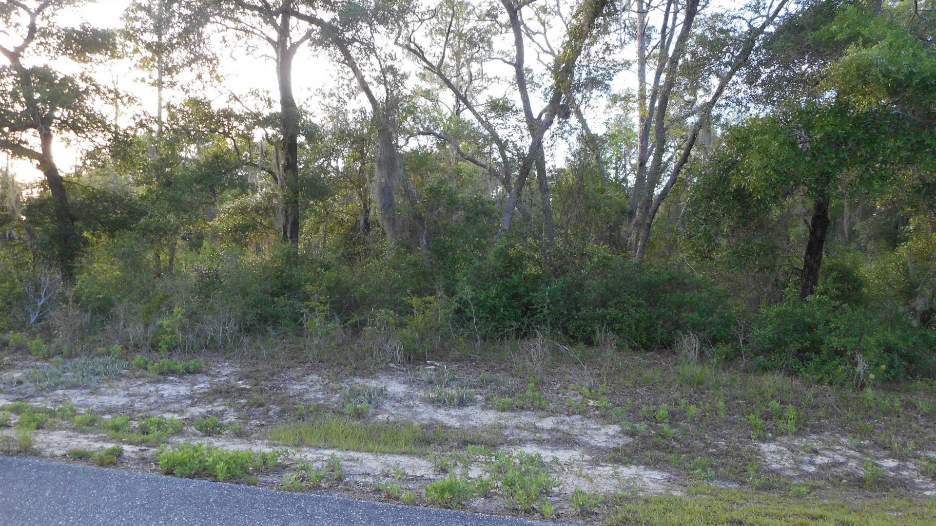 Lot 26 Pelican Way , Ochlockonee Bay, FL 32346 Photo