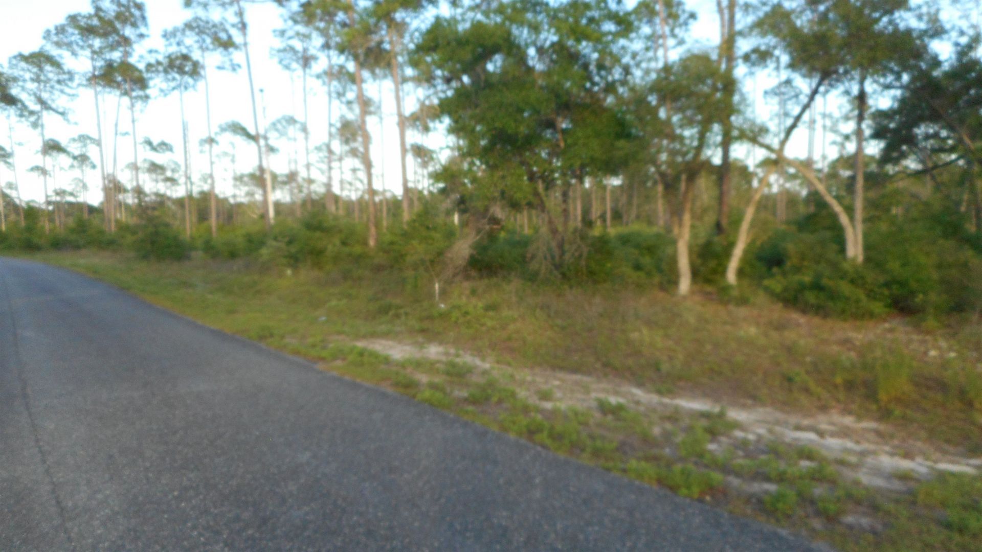 Lot 26 Pelican Way , Ochlockonee Bay, FL 32346 Photo