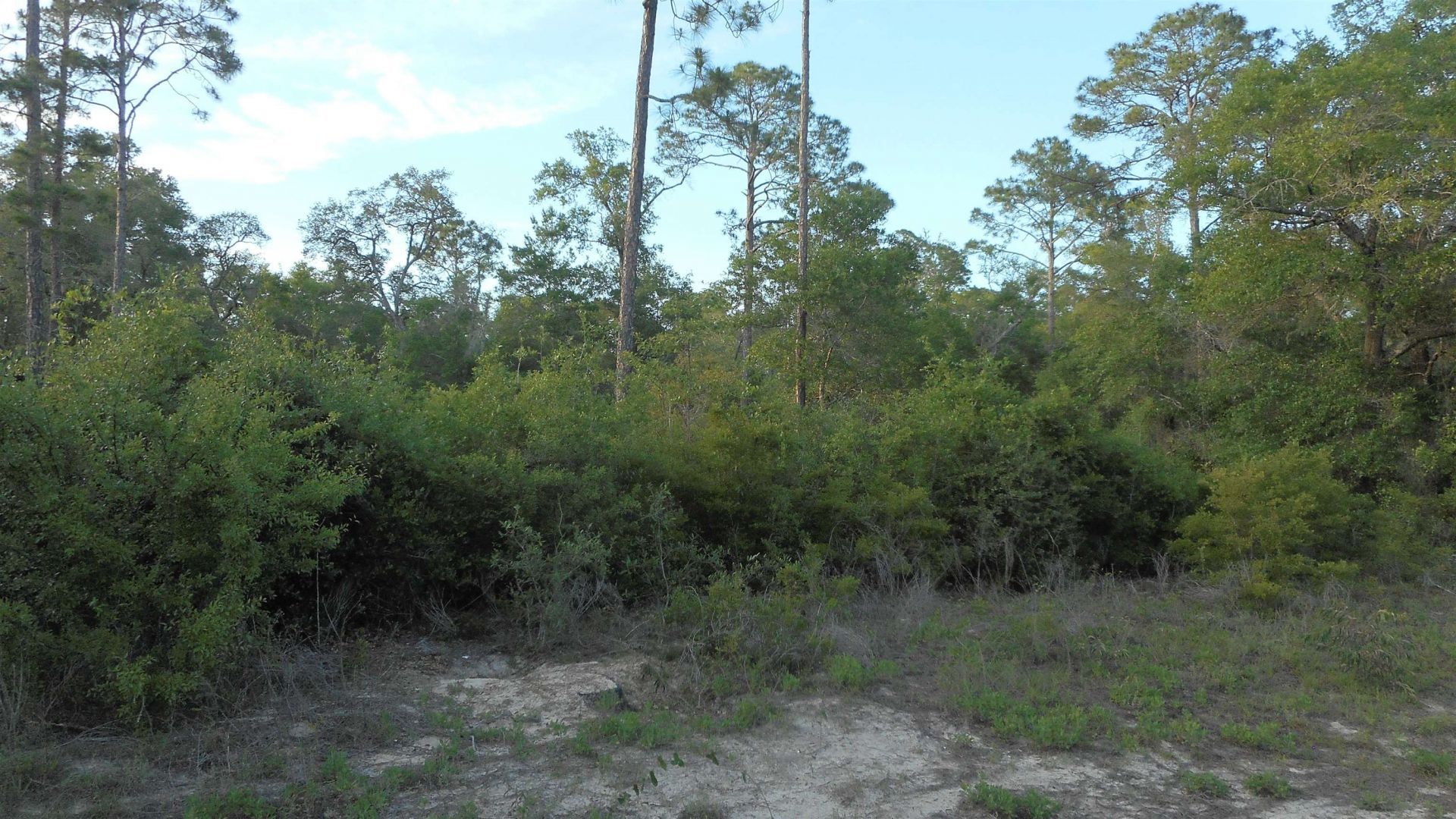 Lot 26 Pelican Way , Ochlockonee Bay, FL 32346 Photo
