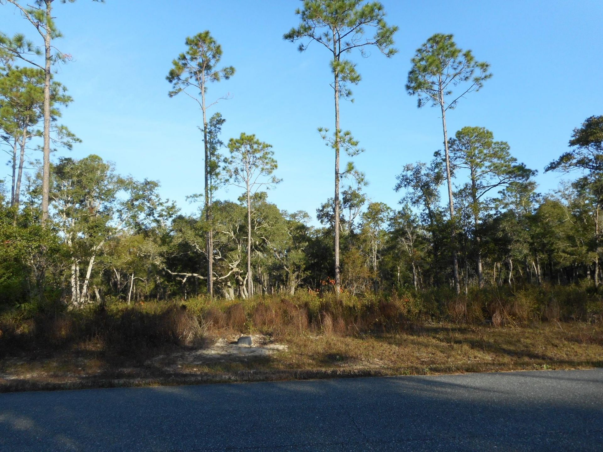 Lot 26 Pelican Way , Ochlockonee Bay, FL 32346 Photo