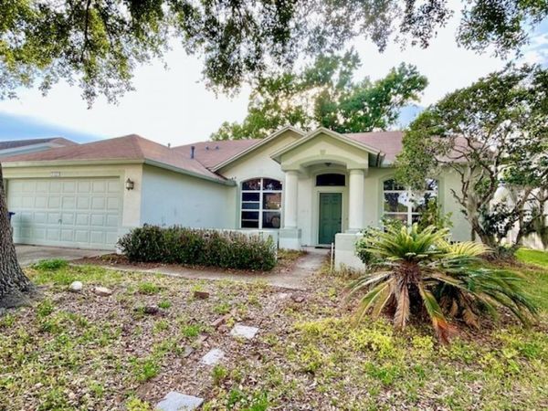 1135 BIG SKY DRIVE , WESLEY CHAPEL, FL 33543