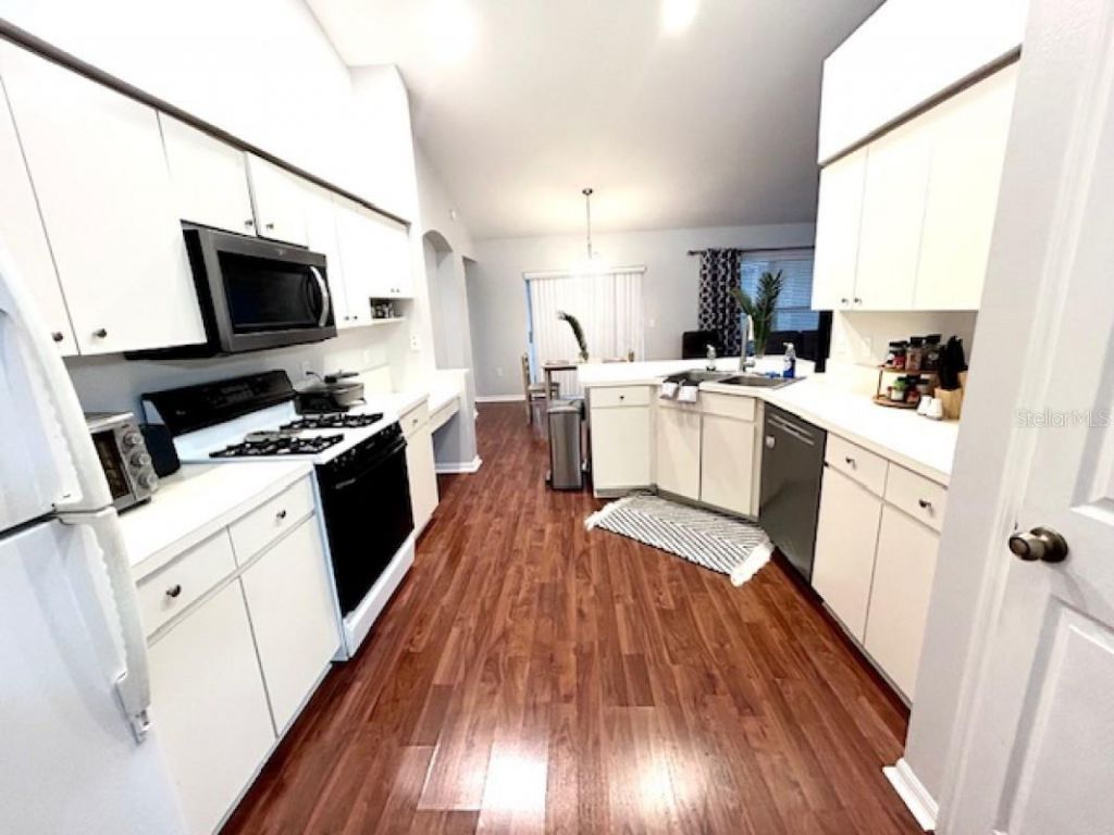 1135 Big Sky Drive, Wesley Chapel, FL 33543 Photo