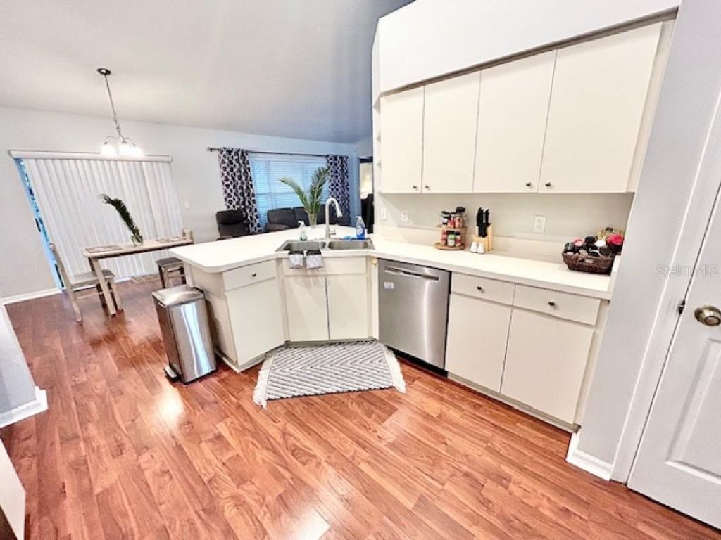 1135 Big Sky Drive, Wesley Chapel, FL 33543 Photo