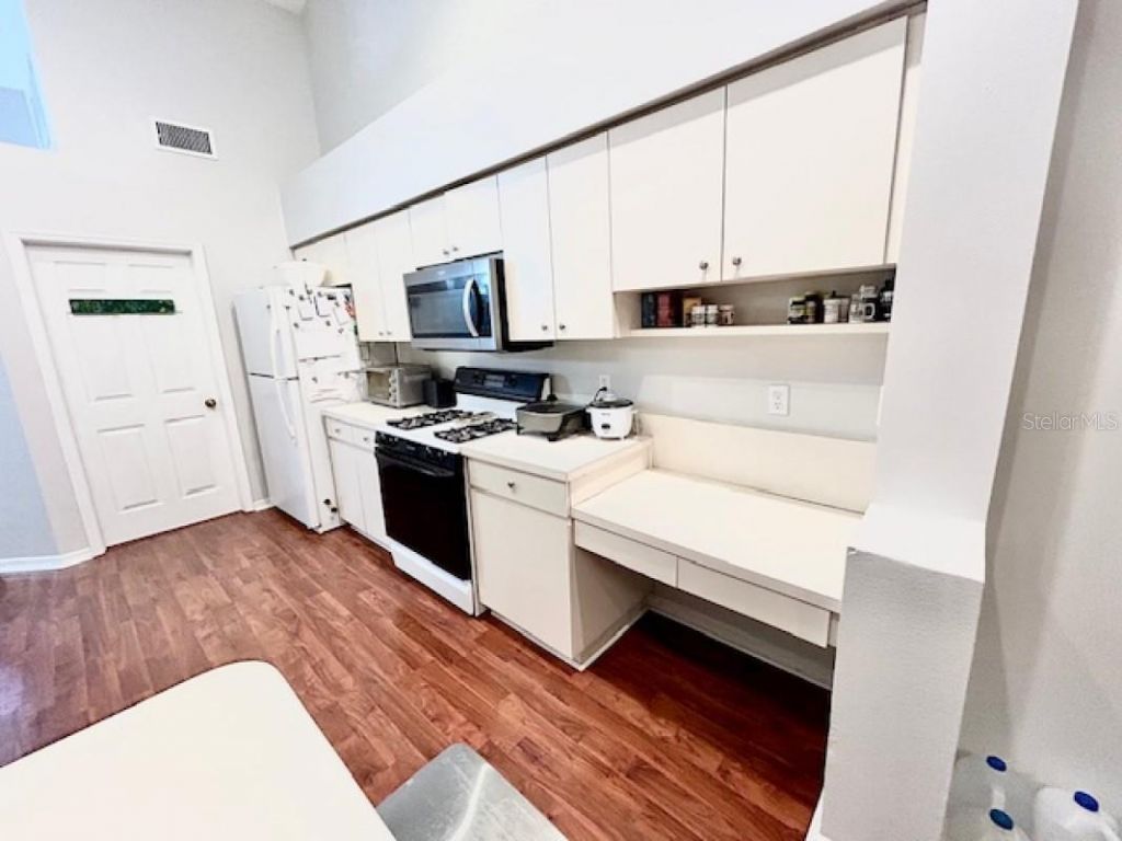 1135 Big Sky Drive, Wesley Chapel, FL 33543 Photo