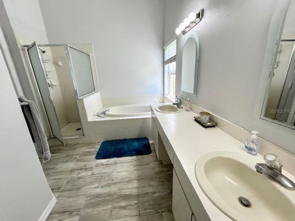 1135 Big Sky Drive, Wesley Chapel, FL 33543 Photo