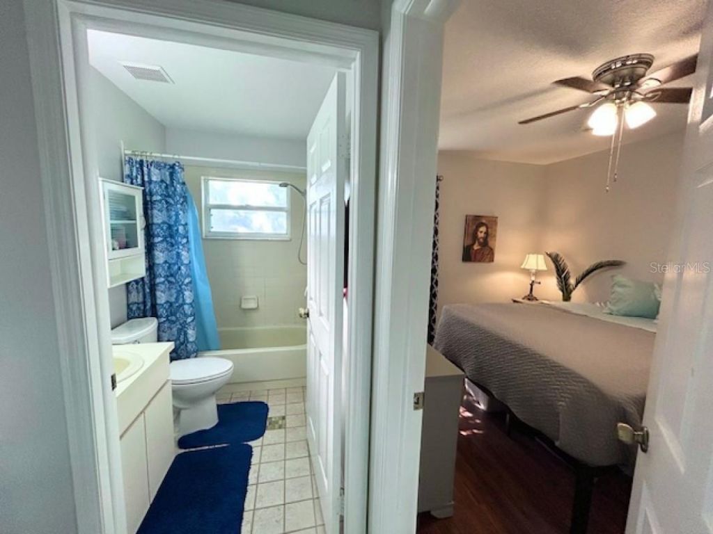 1135 Big Sky Drive, Wesley Chapel, FL 33543 Photo