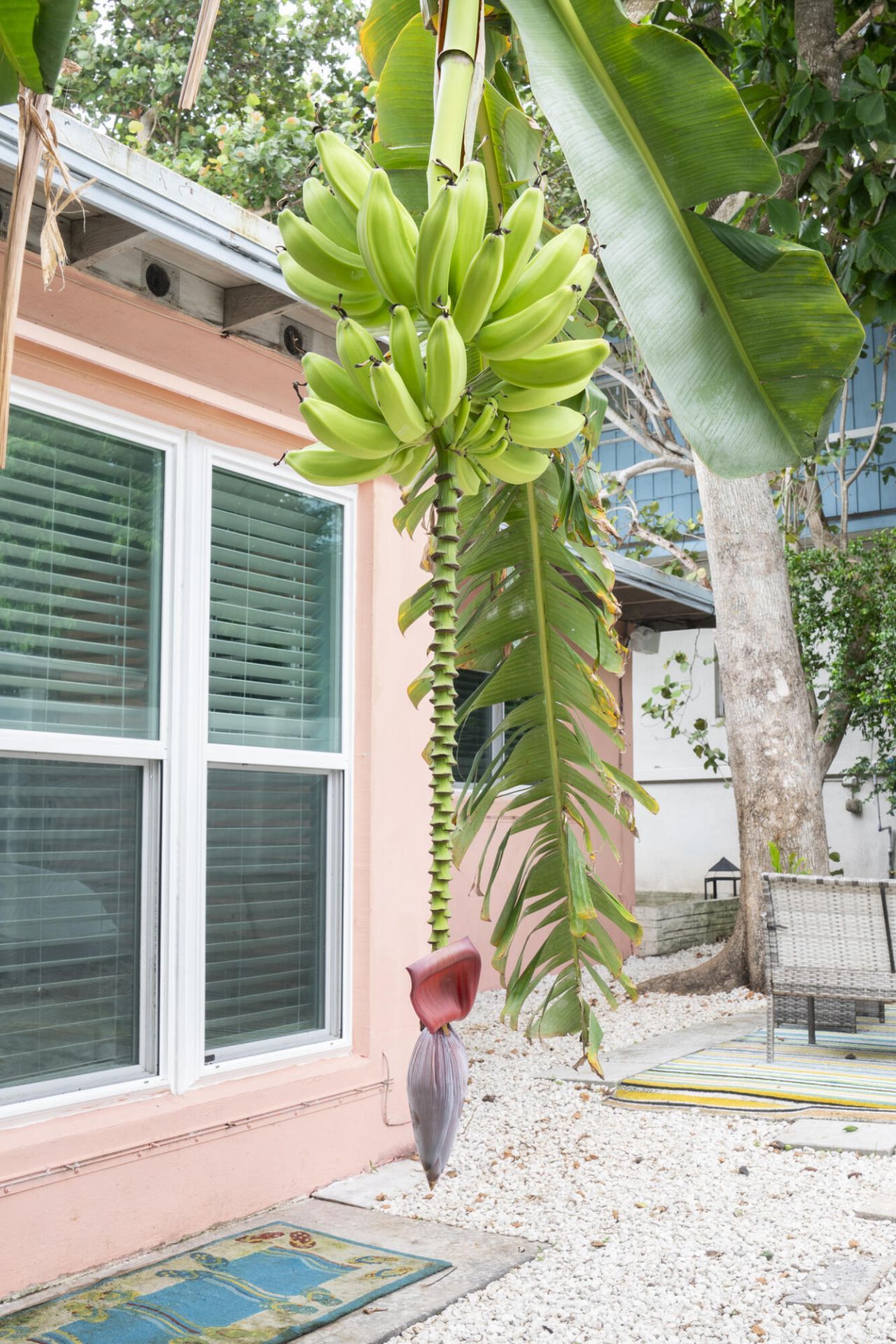 204 Coral Road, Boynton Beach, FL 33435 Photo