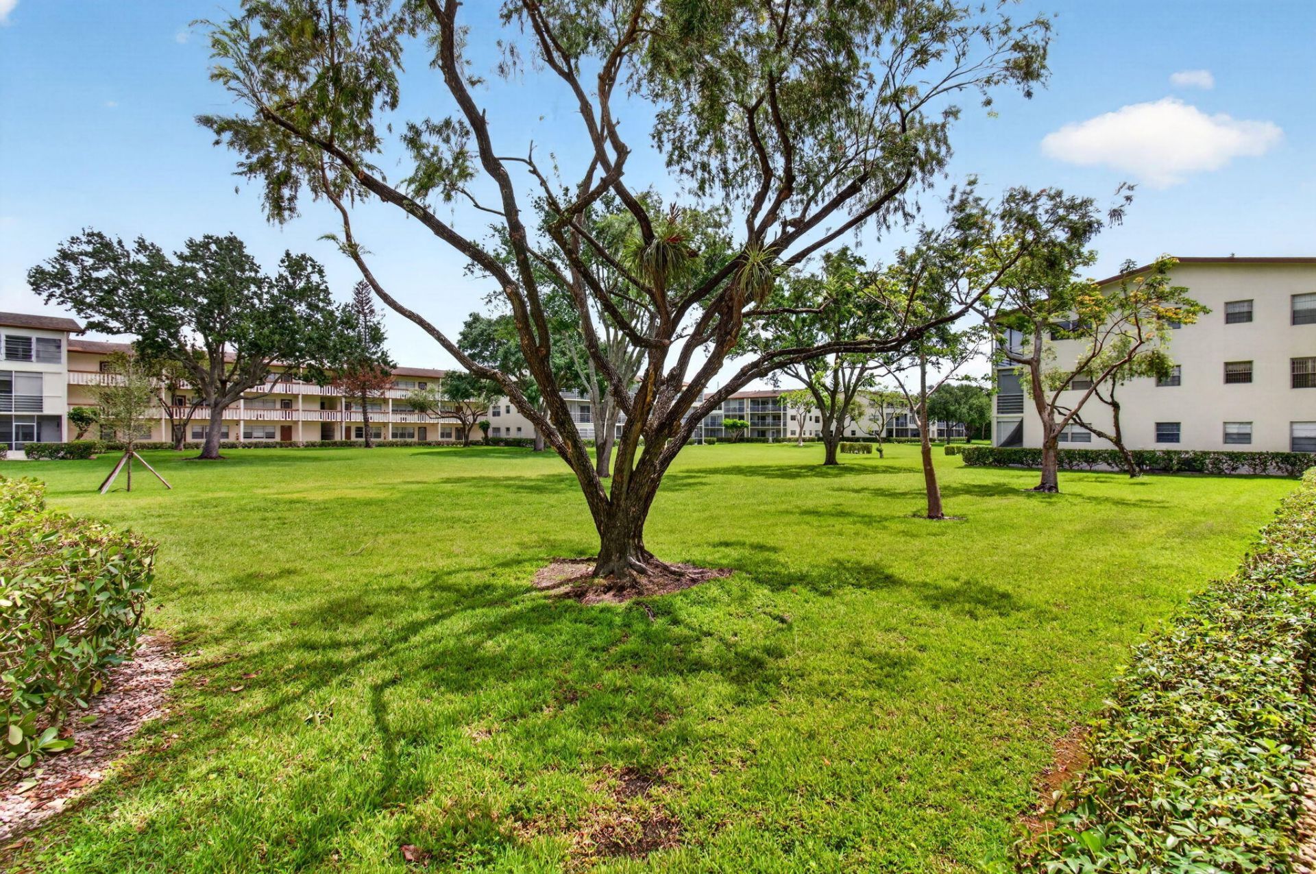35 Mansfield A, Boca Raton, FL 33434 Photo