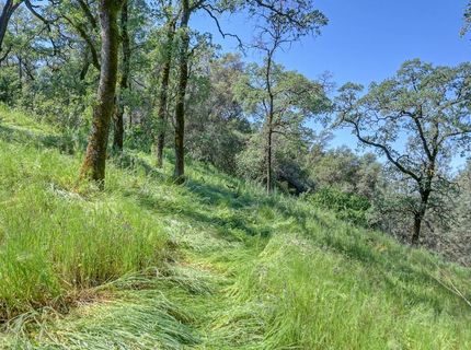 2147 W Green Springs Rd, El Dorado Hills, CA 95762 Photo